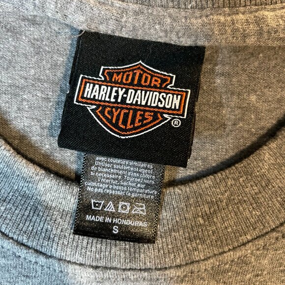 Harley Davidson Southern Devil Tee Shirt Men Small Gray Graphic Motorcycle Biker - Picture 3 of 6